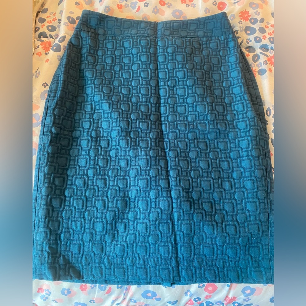 Ann Taylor Pencil Skirt